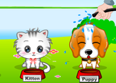 My Cute Pets 2