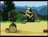 Stunt Dirt Bike