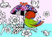 Paint Colors Games: Birds