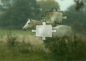 Magic Horse Jigsaw